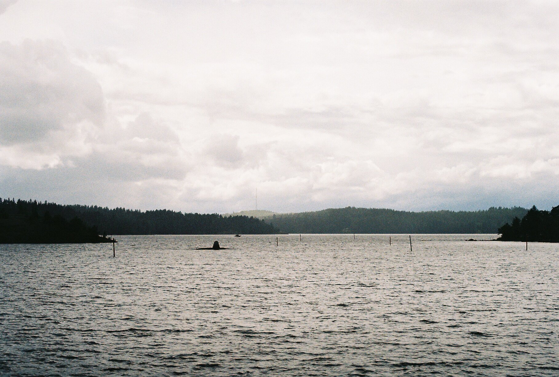 A calm lake under a heavy cloudy sky, with a hazy line of forested hills along the far shore.