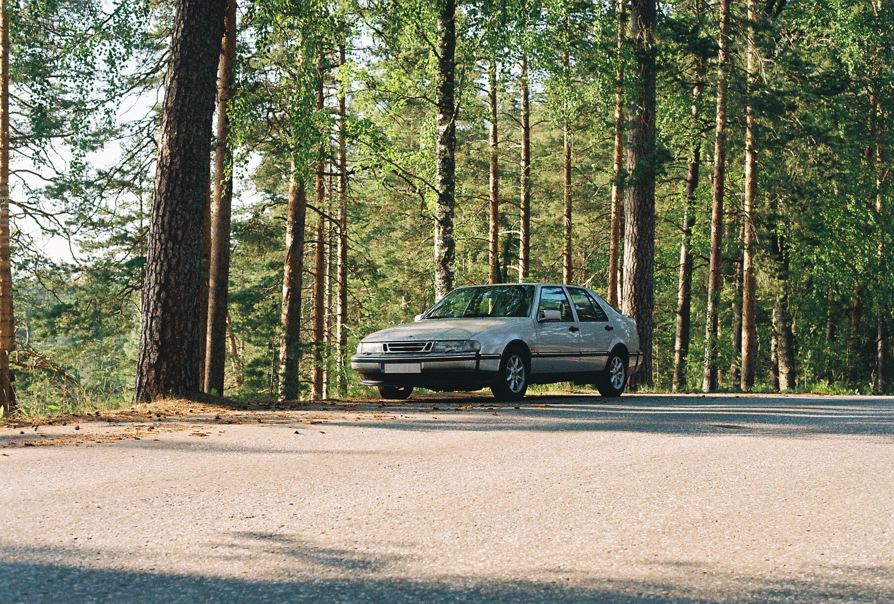 A silver Saab sedan parked on a forest road, tall pines and birches rising behind it in early evening light.